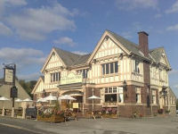 Hearty Oak Pub & Kitchen
